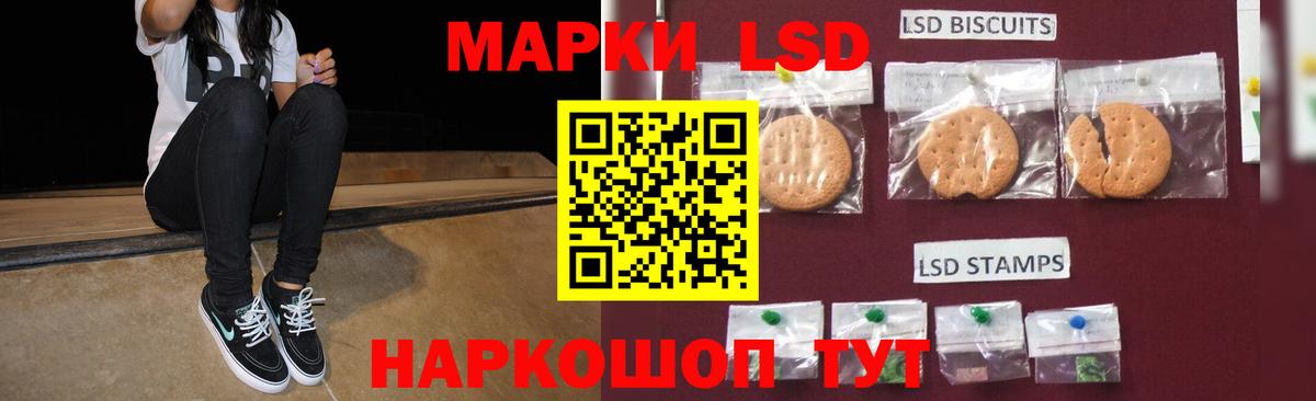 Лсд 25 экстази  Вход с VPN  Курчалой  Лсд 25 экстази ecstasy  ЛСД экстази кислота 