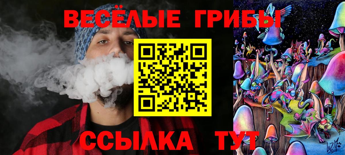 Курчалой  Галлюциногенные грибы Magic Shrooms  Галлюциногенные грибы GOLDEN TEACHER  Вход с VPN 